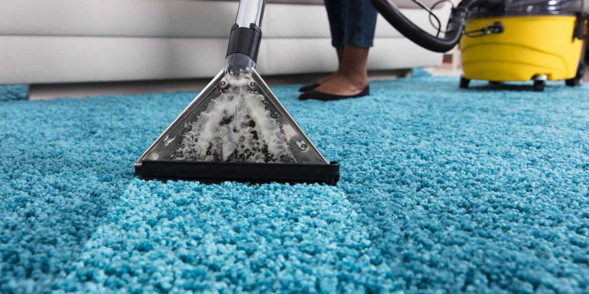 How Routine Carpet Cleaning Improves Home Comfort and Wellness