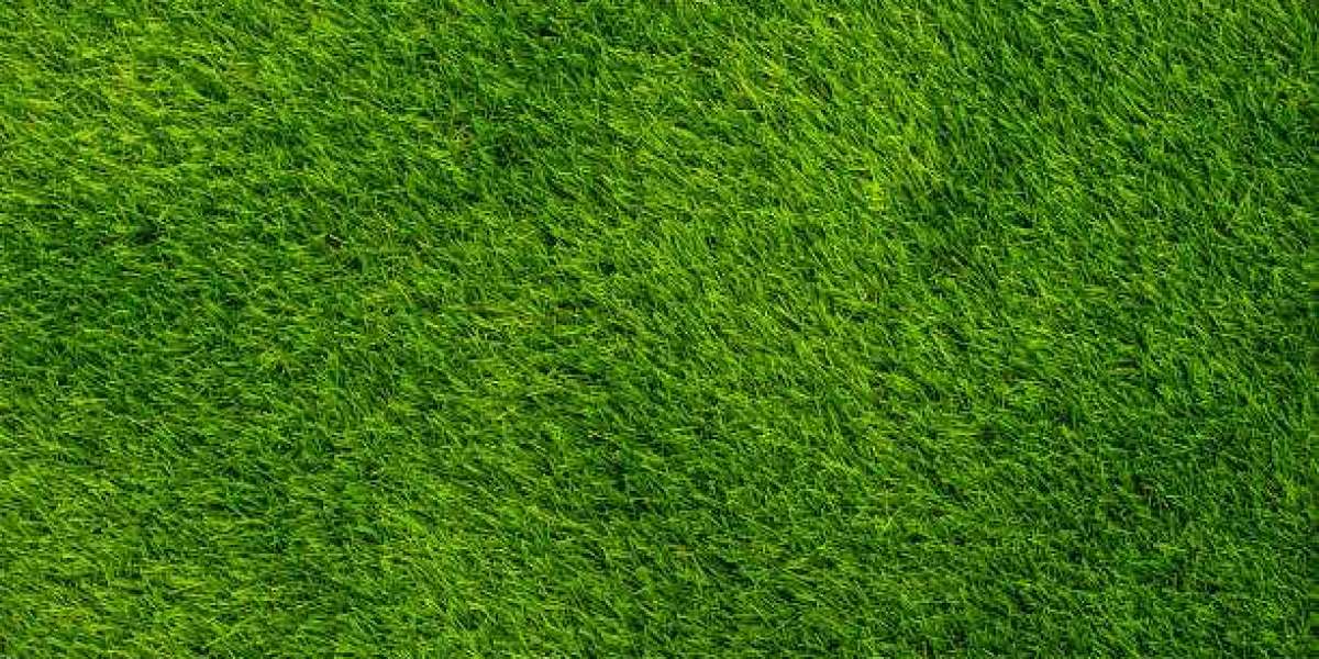 Grass Carpet Dubai: Where Quality Meets Beauty