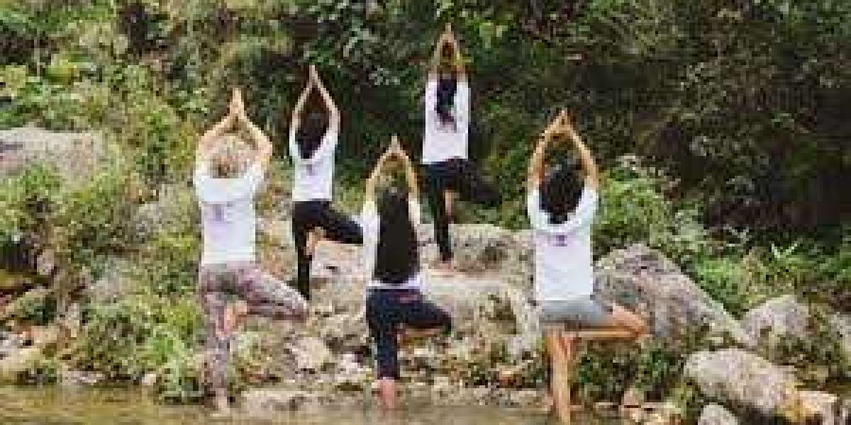 Panchakarma Retreat in Rishikesh: Rejuvenation Through Ayurveda