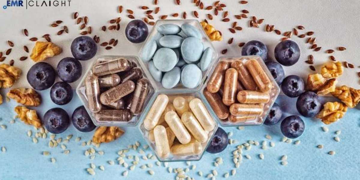 Global Fertility Supplements Market Size, Share, Trends, Growth, & Report | 2024 - 2032