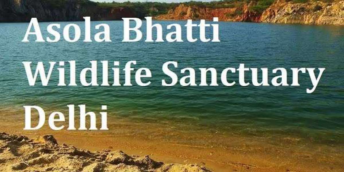 Explore the Rich Biodiversity of Asola Bhatti Wildlife Sanctuary: A Hidden Gem in Delhi