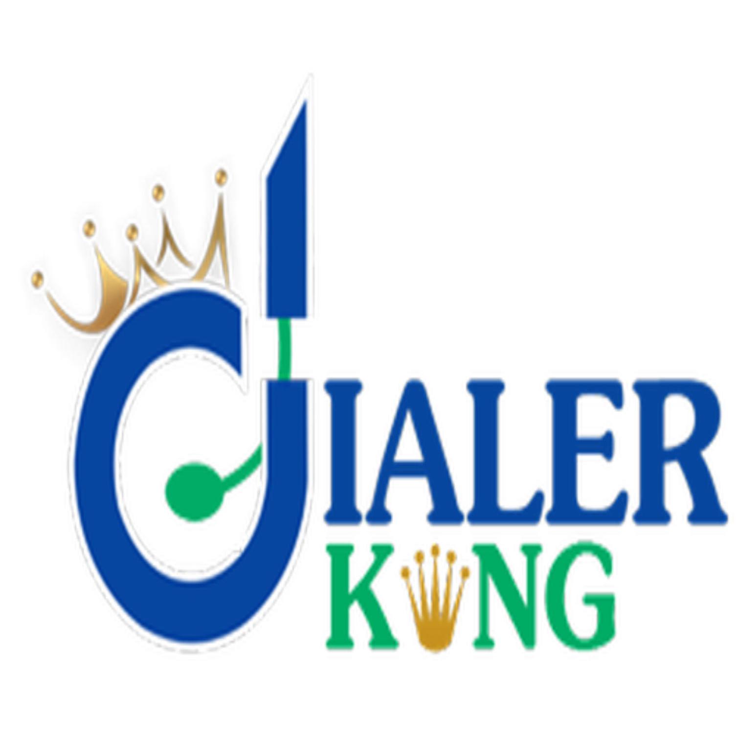 DialerKing Technology Profile Picture