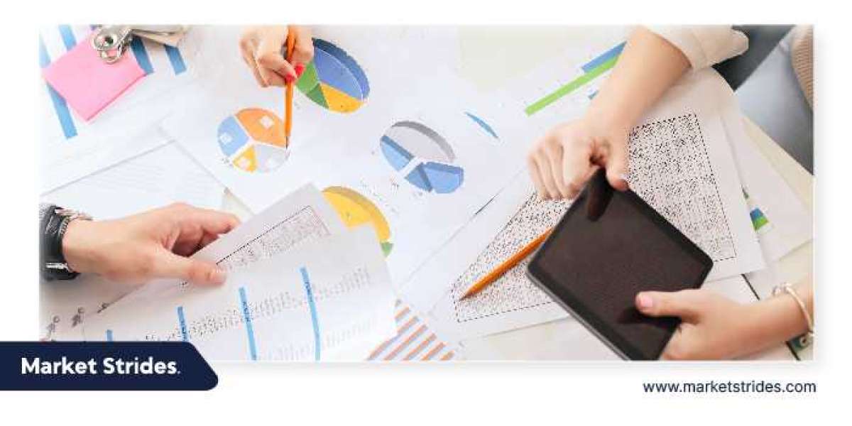 Data Visualization Tools Market Industry Report 2025-2033: Future Trends and Growth Analysis