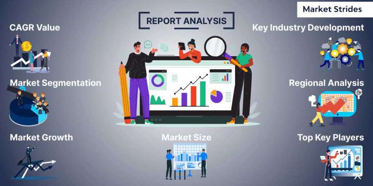 Key High Purity Zirconiums Market Industry Trends and Projections for Growth Through 2033