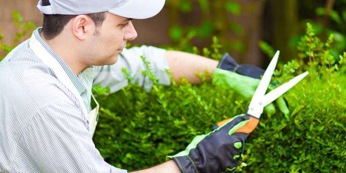 Which online platforms offer reliable gardening help?