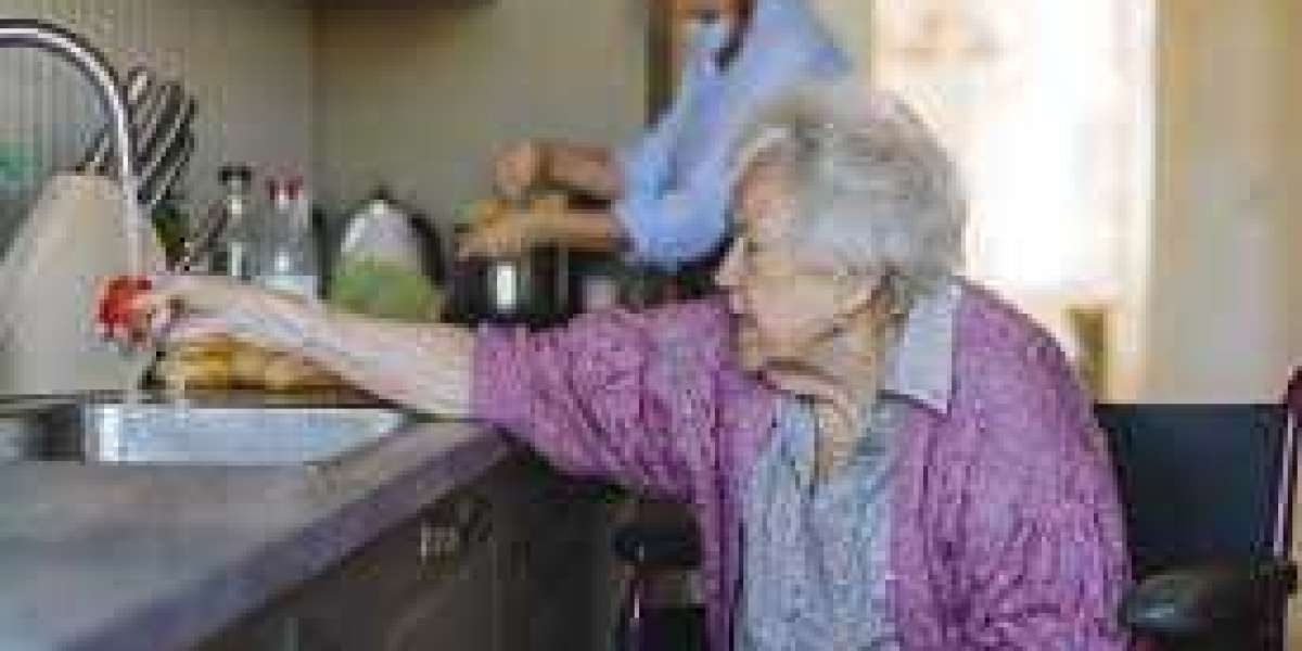 Exploring Elderly Care Services for Seniors with Special Needs