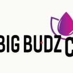 Big Budz cbd Profile Picture