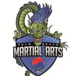 Palm Beach Martial Arts Profile Picture